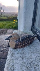 Stunning and Rare Vintage Kilkenny Design Workshops Eider Duck Hand-Painted Ceramic Model by Oisin Kelly RHA (1915-1981), Excellent Condition