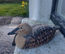 Stunning and Rare Vintage Kilkenny Design Workshops Eider Duck Hand-Painted Ceramic Model by Oisin Kelly RHA (1915-1981), Excellent Condition