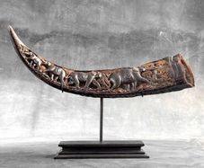 Water buffalo horn.