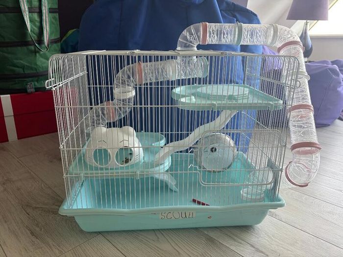 Hamster cage