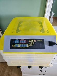 Egg Incubator