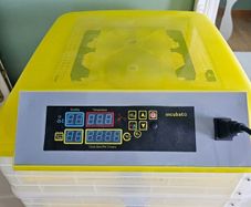 Egg Incubator