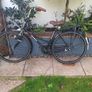 Avalon Ladies Bike Image 2
