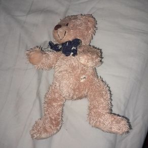Small Collectable teddy bear