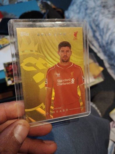Steven Gerrard