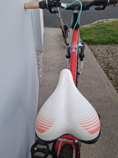 Girls Bike