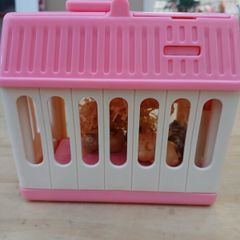 Little live pets hamster