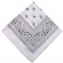 Fab Multipurpose Accessory - great for beach, hiking, cycling, etc Image 3