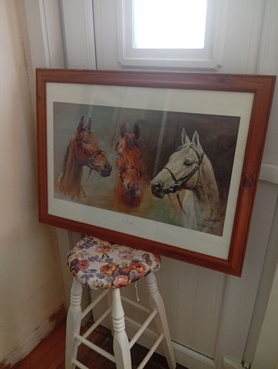 Red rum .arkle and desert orchid picture