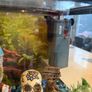 aqua dreams starter aquarium Image 3