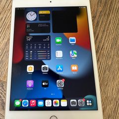 Mini iPad 4