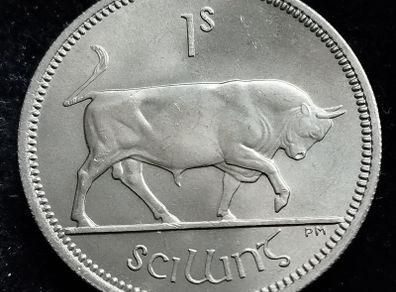 Ireland - 1964 - Shilling - Bull - UNC - KM.14a - [2333]