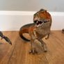 Schleich dinosaurs and animals Image 2
