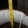 Large table lamp.... Image 5