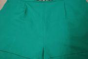 New Green Shorts