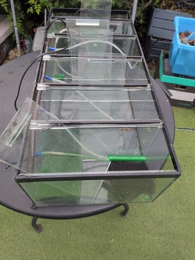 Aquarium Breeder tank