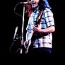 Rory Gallagher Blues Double Vinyl - Sealed Image 6