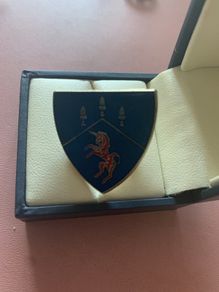 Vintage Pin Badge