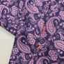 Beautiful Long Paisley Scarf Image 4