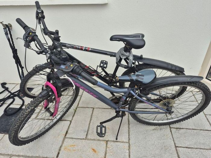 2 adult bikes