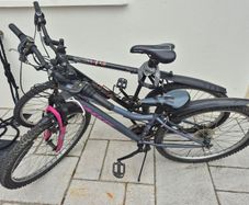 2 adult bikes
