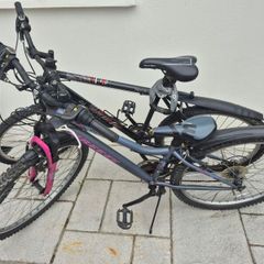 2 adult bikes