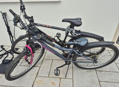 2 adult bikes