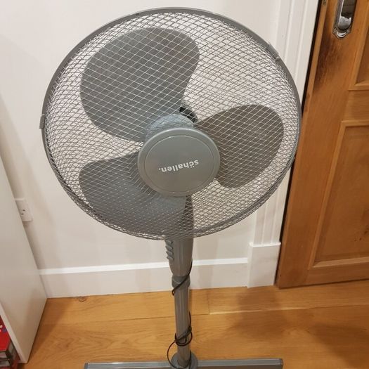 Standing Schallen
