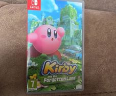 Nintendo Switch Game