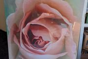 Large Stretched Canvas on Solid Wooden Frame