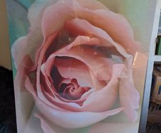 Large Stretched Canvas on Solid Wooden Frame