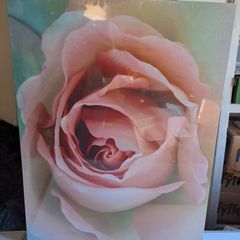 Large Stretched Canvas on Solid Wooden Frame