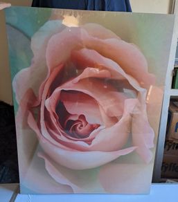 Large Stretched Canvas on Solid Wooden Frame