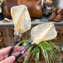 1 Soldered Witchy Odd Badger Scapula Bone Hair Pins Image 3