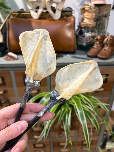 1 Soldered Witchy Odd Badger Scapula Bone Hair Pins