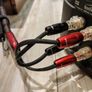 AudioQuest Redwood 3m Bi-Wire Image 5
