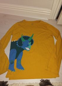 Joules dinosaurs top age 11