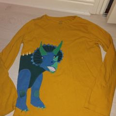 Joules dinosaurs top age 11