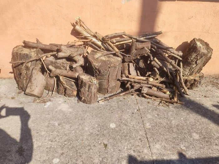Free Fire Wood