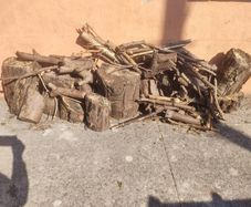Free Fire Wood