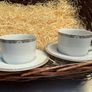 Royal Doulton Platinum 8-ounce Tea /Coffee Cup and Saucer SET OF  2 Image 2