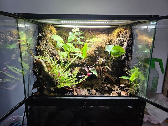 Complete Bio Active Terrarium