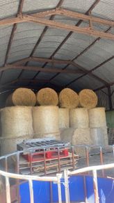 Organic Hay Rossmore/Reenascreena Area