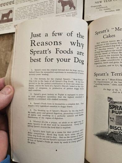 Catalogues Of The 10th & 11th Irish Kennel Club Shows 1931-32. Plus To Stud Cards For Dogs. Paperbacks In Only Fair Condition.  See Photos For Same.