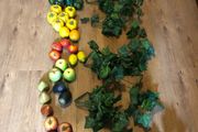 Quality Display Ivy, fruit &amp; vegetables, kitchen decor or wedding  ivy floral  decor