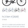 Trek fx 2 gen 4 Large frame Image 7