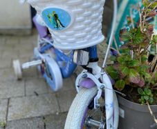 Kids Frozen bicycle (with stabilisers)