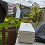 microwave Image 2