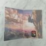 Zelda Breath of the wild Image 2