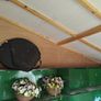 Garden Shed Image 6